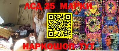 сатива Сланцы