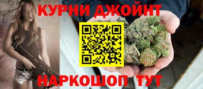 сатива Сланцы